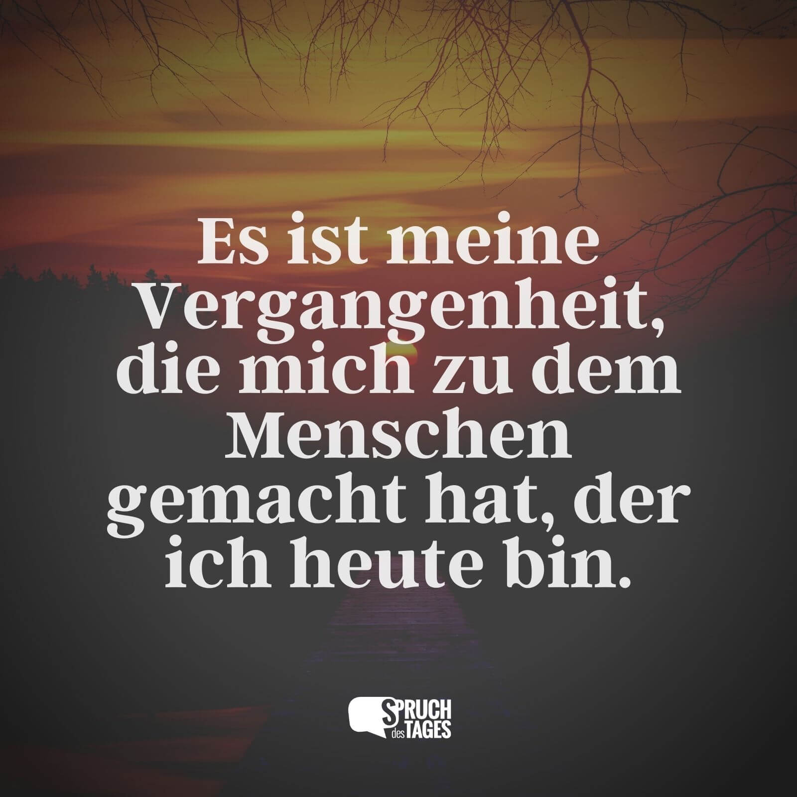 es-ist-meine-vergangenheit-die-mich-zu-d