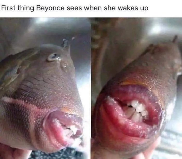 1000037064