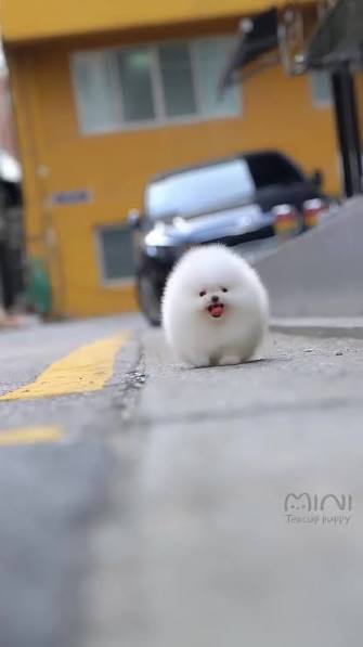 images 43