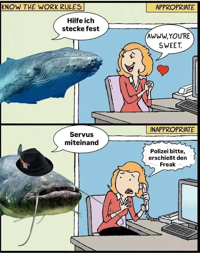 IMG 20260410 154912 189