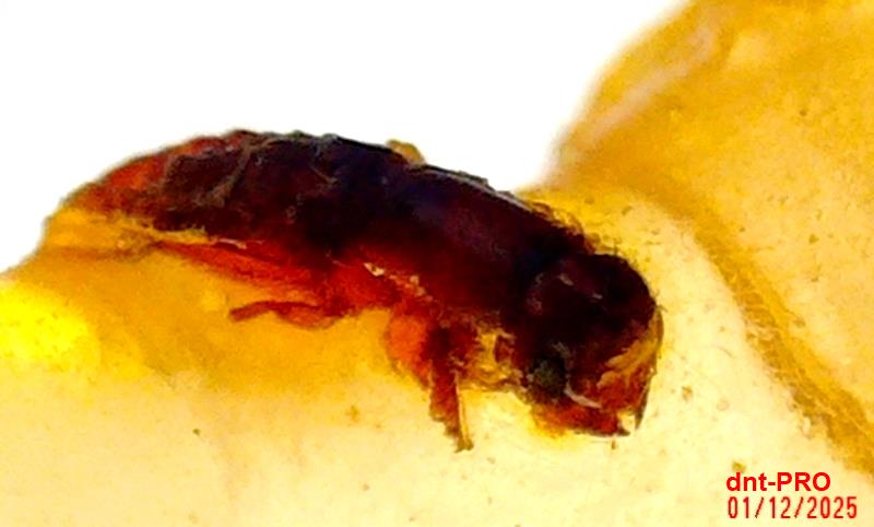 2025 1201 194330 003