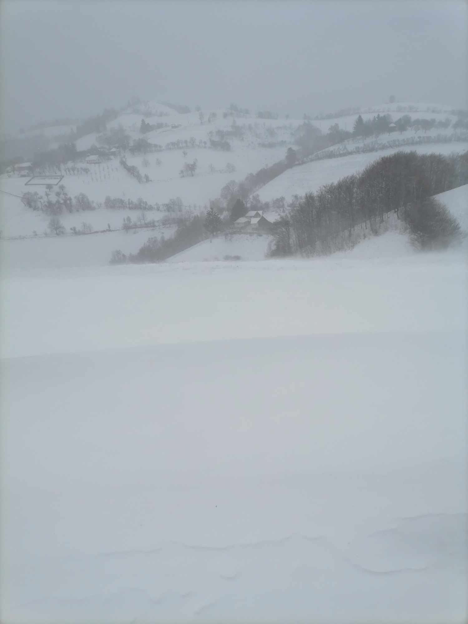 57601162-2275-4f5f-8c17-a70029312845