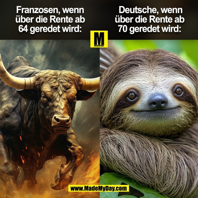 6513447024704110063125296-526745