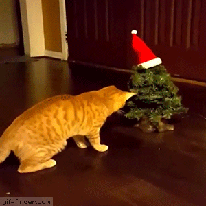 Cat-vs-Christmas-Tree
