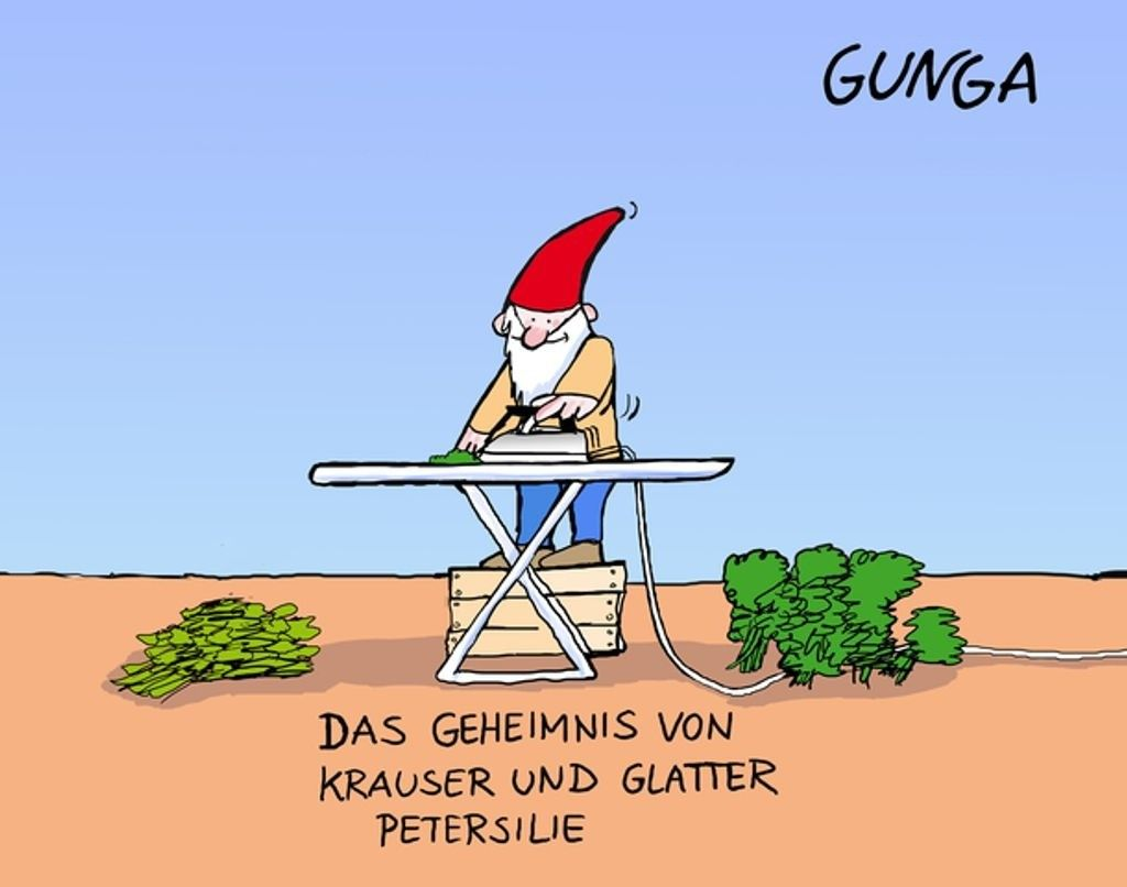 y89mngfeofh1 img-f59d4359.png conv