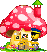oie overlay