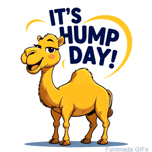 23-07-2025-hump-daye4568e5699r67