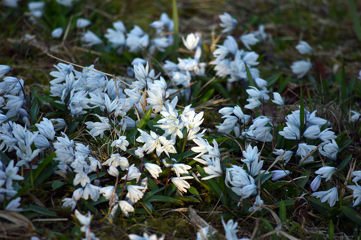 f8b384dd-ce26-48d7-b04a-1e1ec4670561