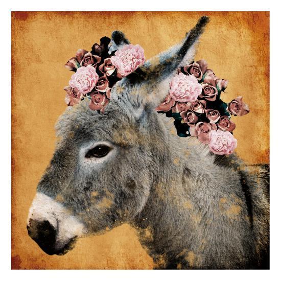 pretty-donkey u-l-f9a7340