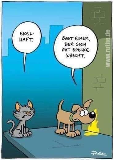 Katzen voll scheie - Copy