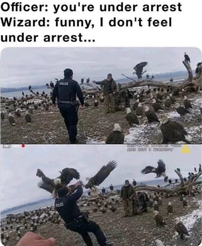 1000035775