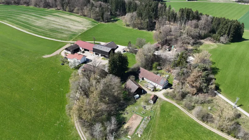 dji202604071356040011vjpg.webp