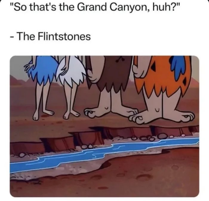 1000036290