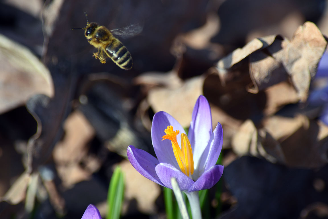 0efc23fe-0e2e-415c-bb90-8e3406aeadb8