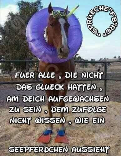 FB IMG 1554582334423