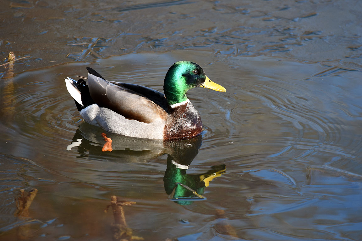 4c1f66a8-9ac9-46dd-ba1f-8ca9ebbf6175