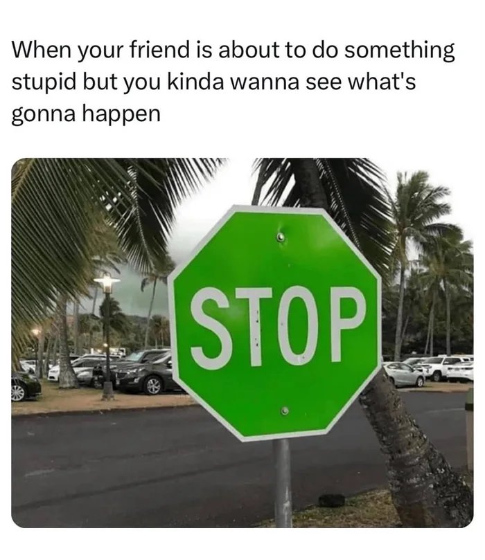1000013636
