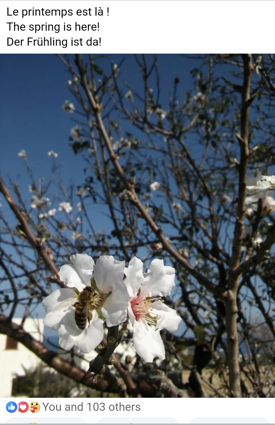 Screenshot 20260212 092320 Chrome