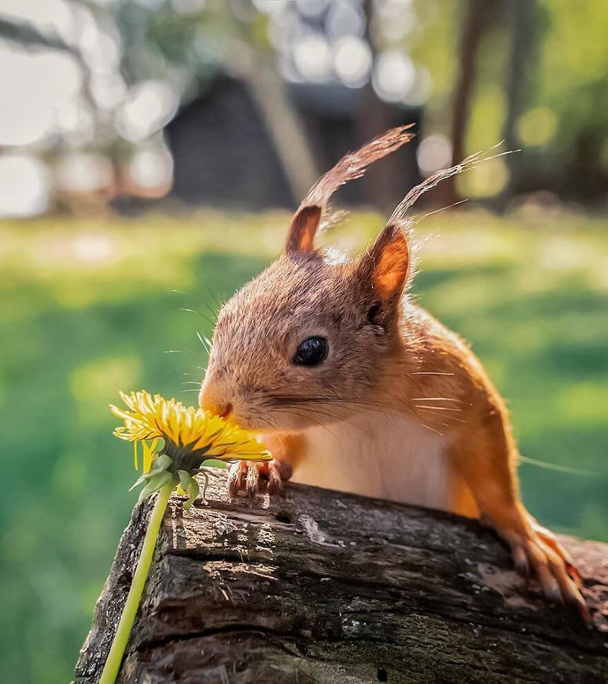 Finnish Photographer Shows The Beauty Of