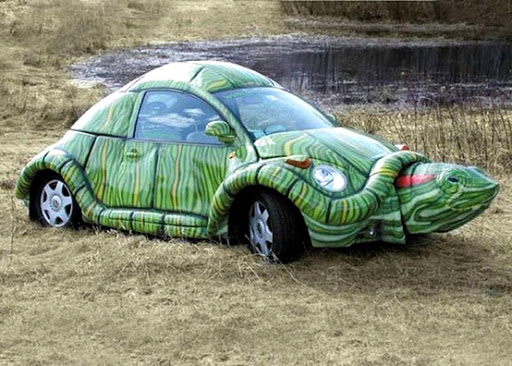 Beetle turtle