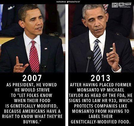 obama-monsanto-lobbyist