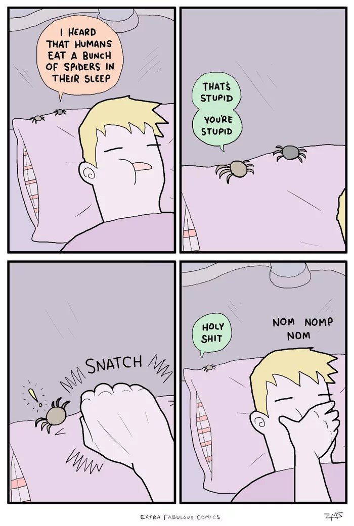 Spiders-consider-hoomans-Nope