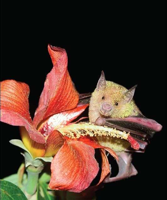 c50041a0973d288a63856a126b048ebf