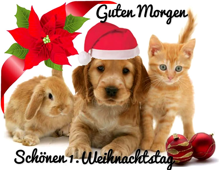 erster-weihnachtstag 009