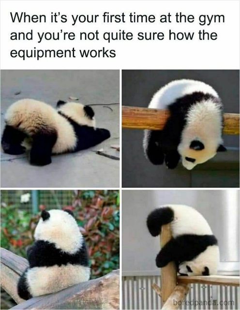 wCOLbiFl