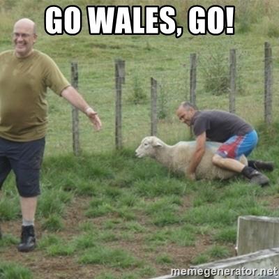 go-wales-go