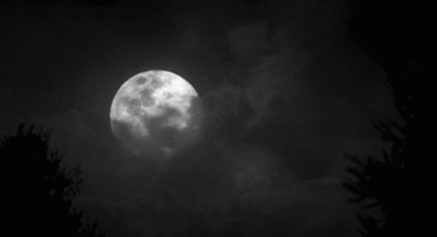 a full moon at night