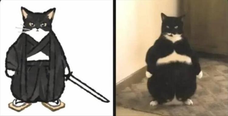 Sam