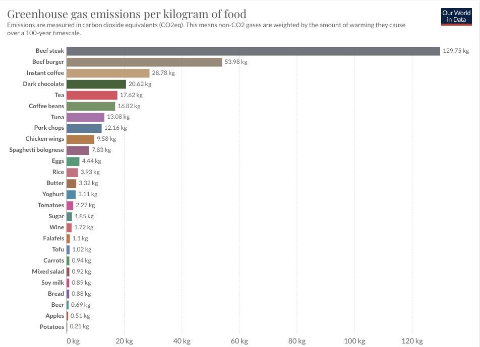 Essen CO2 Ausstoss - Copy