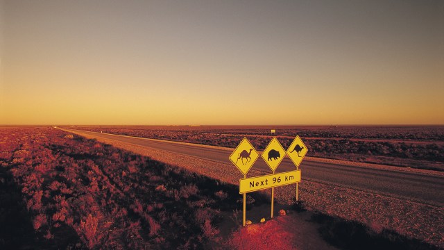 nullarbor-scaled