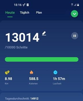 Screenshot 20210928-181626 Pedometer Ste