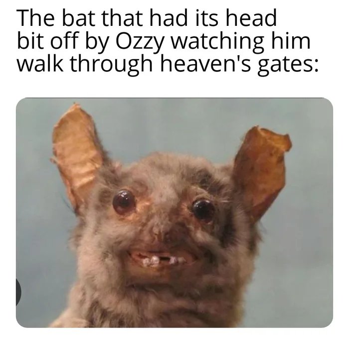 1000014903