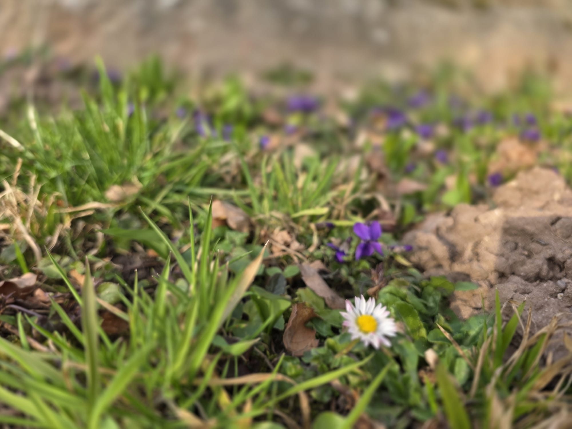 WhatsApp Image 2026-03-08 at 16.21.49