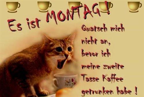 Guten-Morgen-Sprche-Montag-6