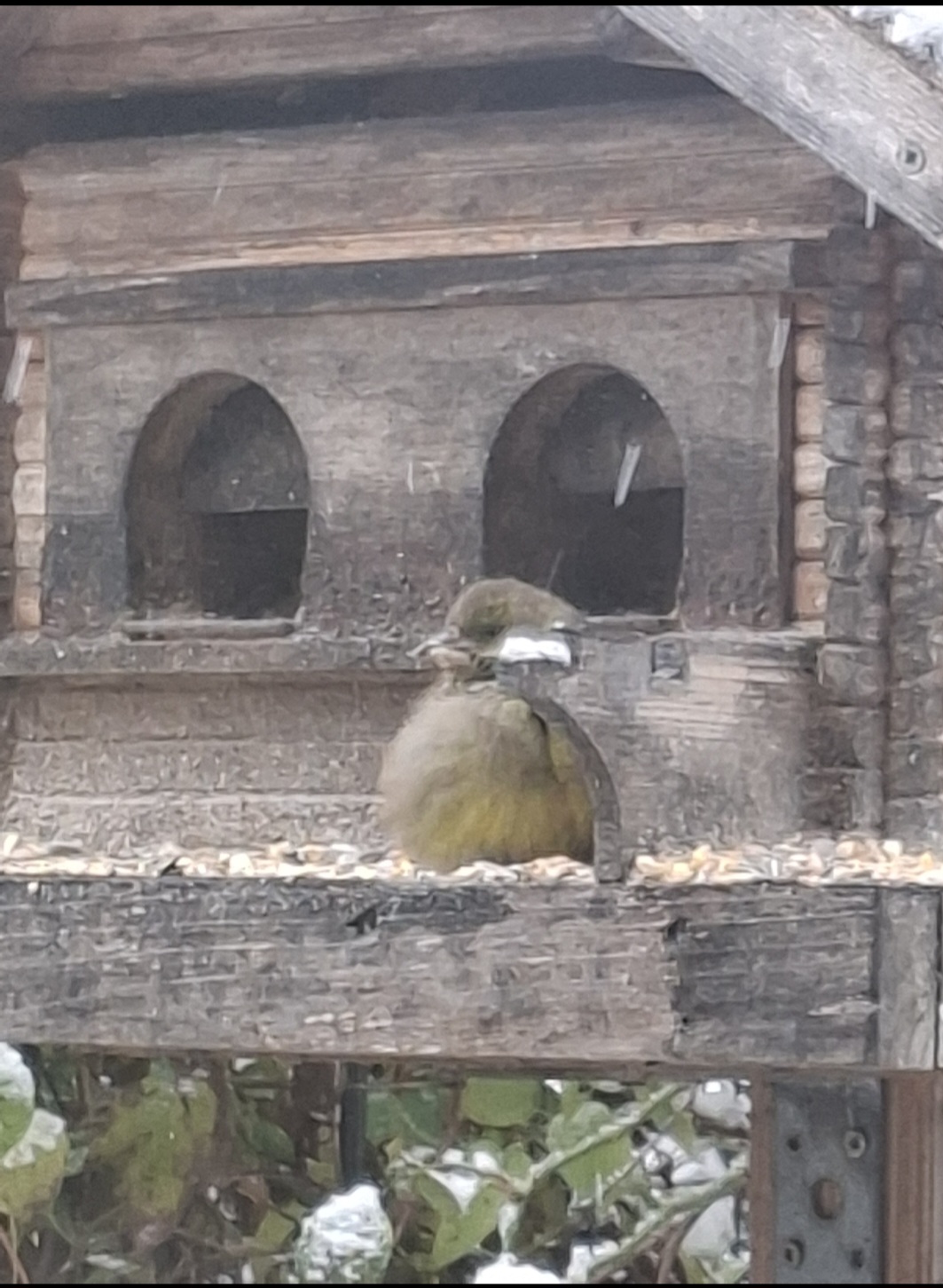 Screenshot 20251123 174833 Gallery