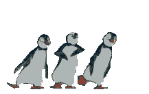pinguine-0061