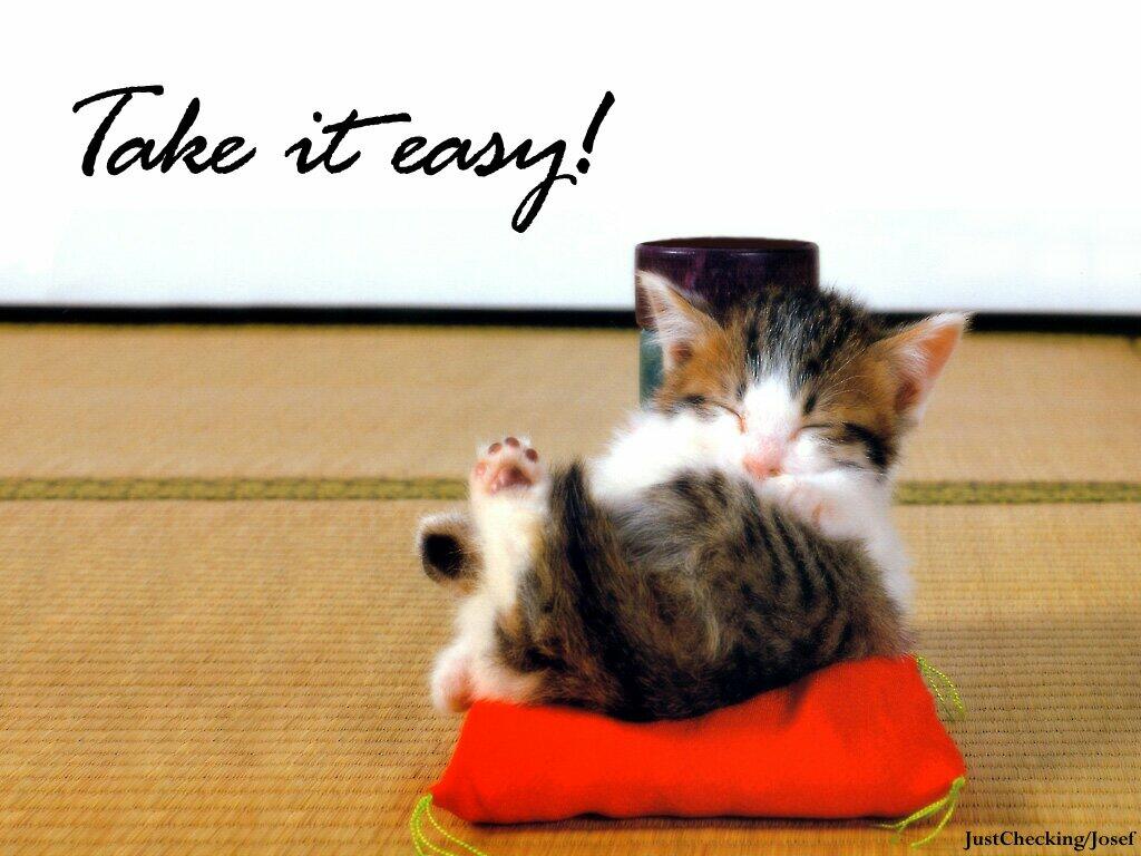 Funny Pictures With Sayings Funny Cat S