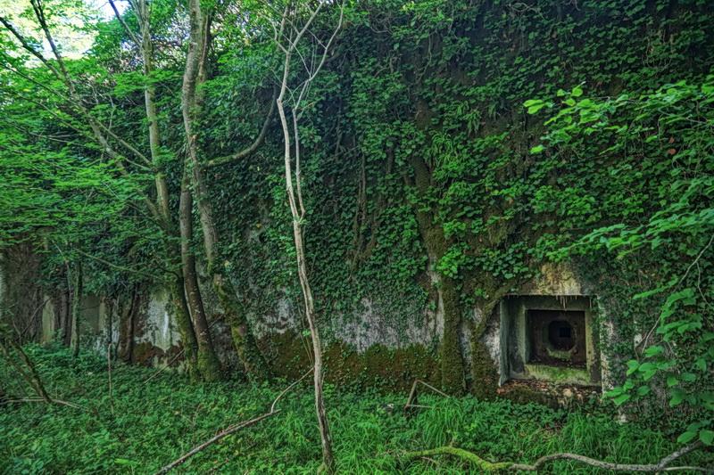 frankreich-waldbunker-4