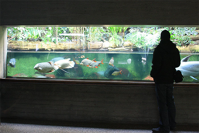 wilhelma aquarium3