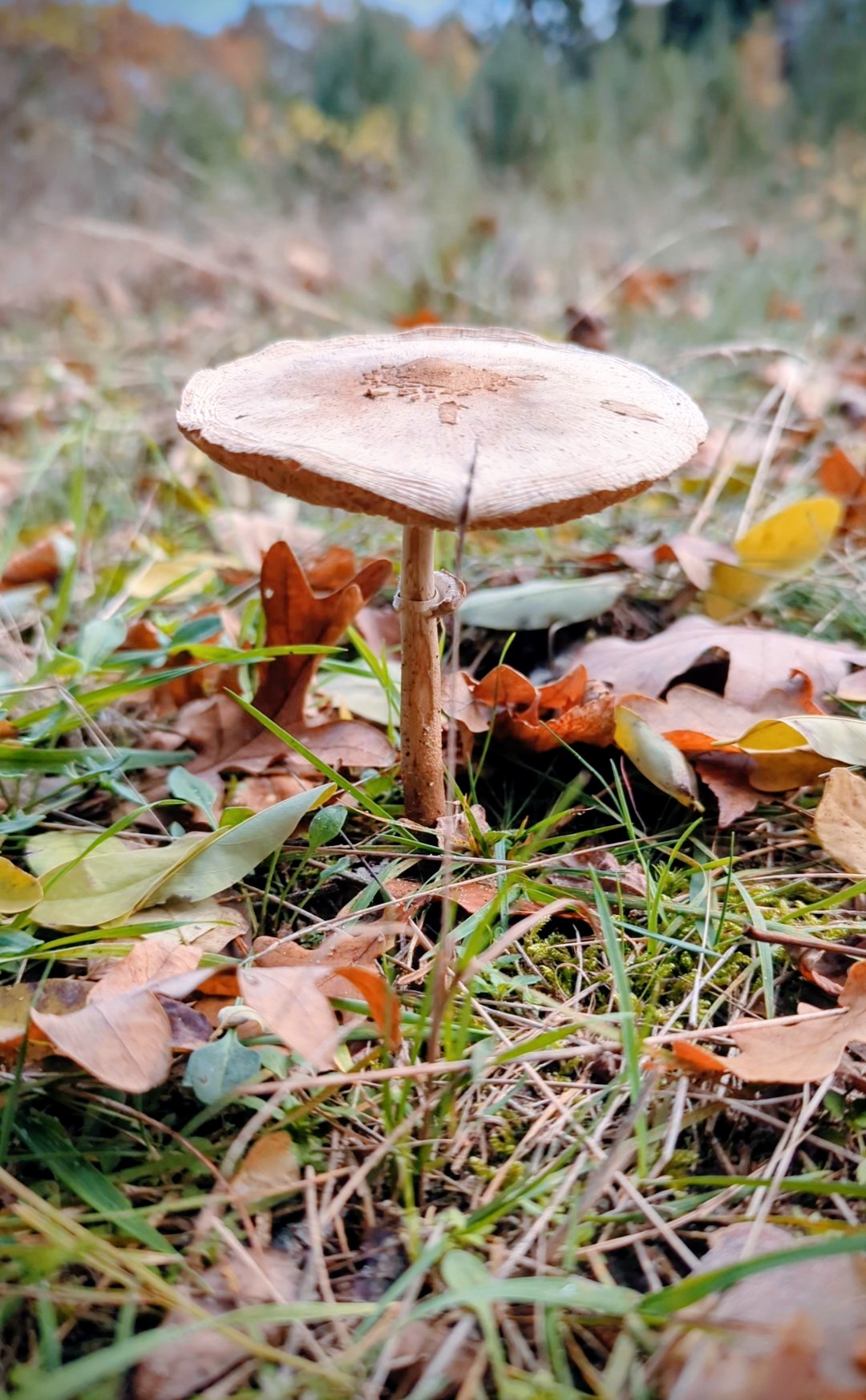 9605b38b-5cc2-499d-ab6a-8f2773296e8b