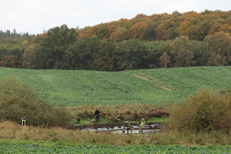 88925c2f-a667-422e-92c4-2bb9f0ac5904.04e