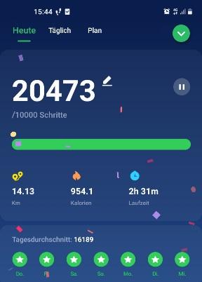 Screenshot 20220112-154423 Pedometer Ste