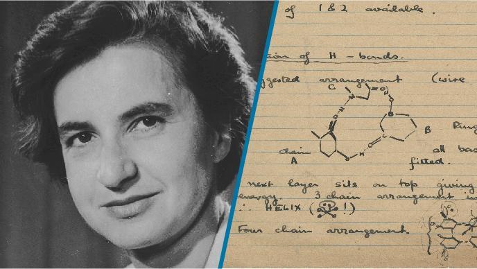 body-rosalind-franklin-portrait-notes-DN