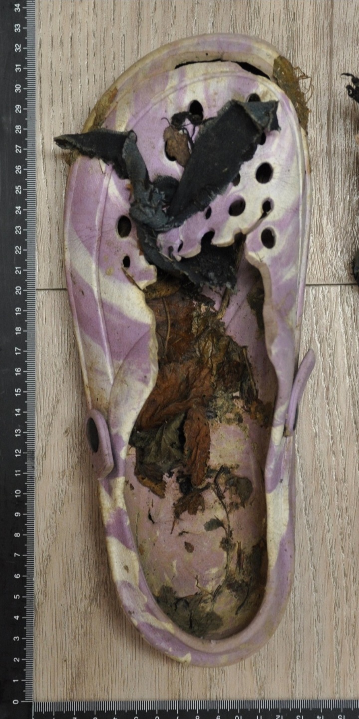 Screenshot 20251029-085948 Chrome