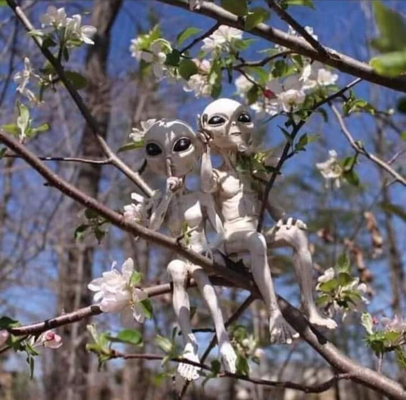 Gli alieni sono arrivati - Copy