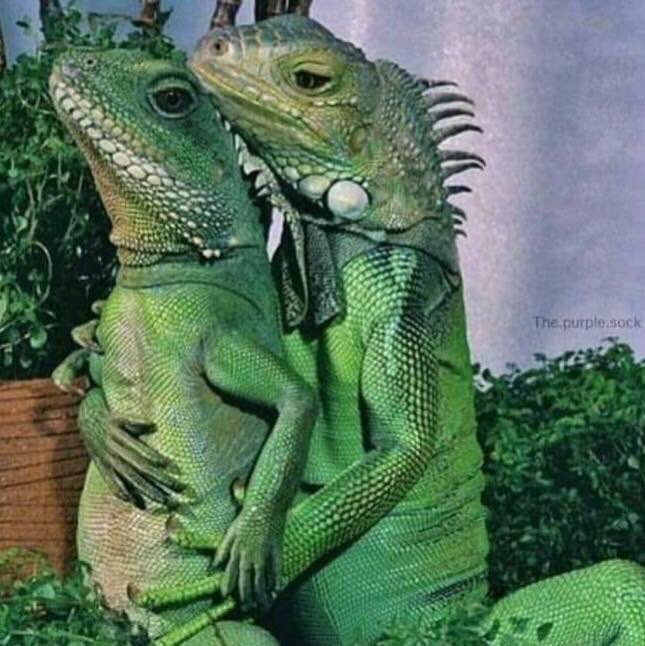 justin hailey 2 - Copy